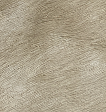 Load image into Gallery viewer, Alma - Golden Pony Scatter Cushion