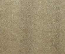 Load image into Gallery viewer, Ashley Wilde - Allegra Oatmeal Scatter Cushion
