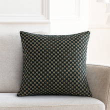 Load image into Gallery viewer, Brochier - Ursula Lago Scatter Cushion