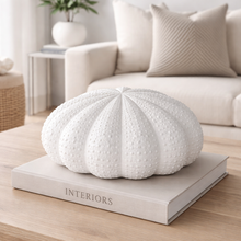 Load image into Gallery viewer, Urchin Vase
