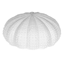 Load image into Gallery viewer, Urchin Vase
